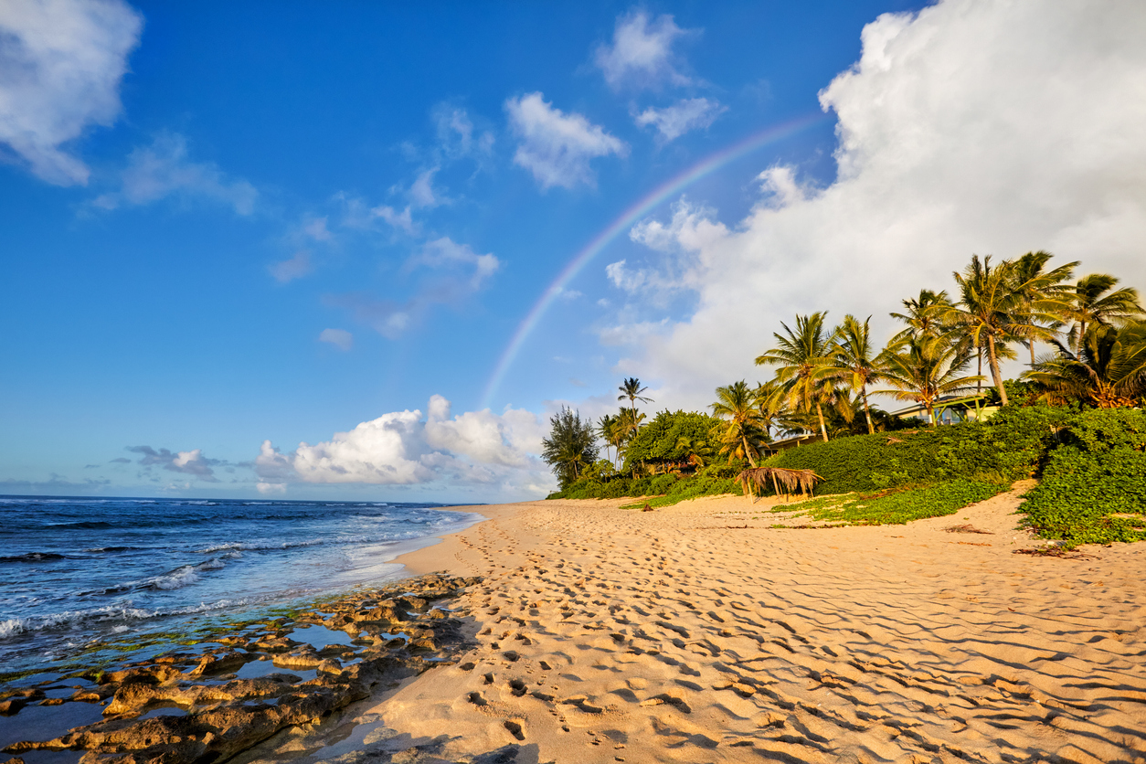 Rajskie Hawaje Wyspa Oahu Stjoseph Travel